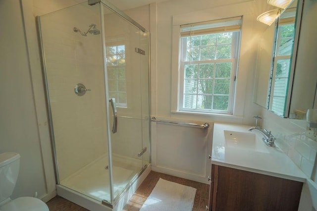 bathroom with toilet, a shower stall, and vanity