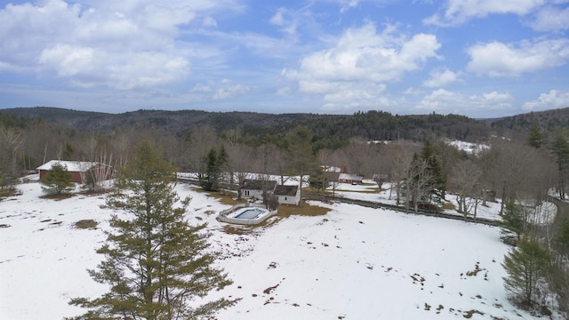 property view of mountains with a forest view