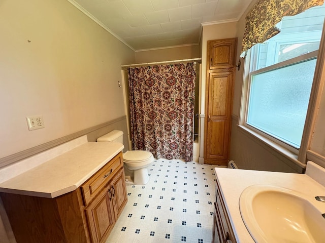 bathroom featuring crown molding, vanity, and a healthy amount of sunlight