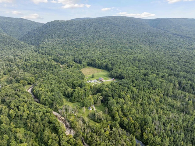 aerial view with a forest view and a mountain view
