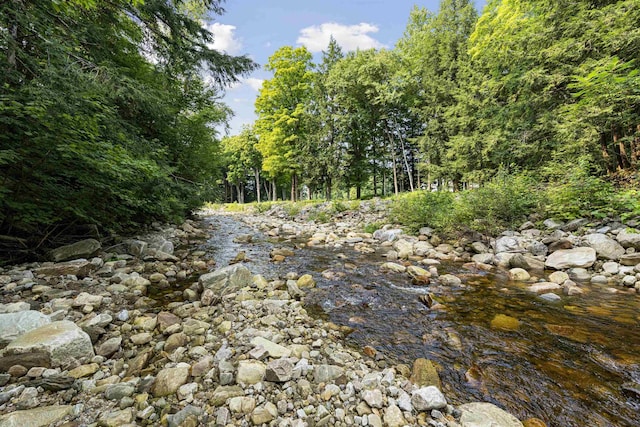 view of nature with a forest view