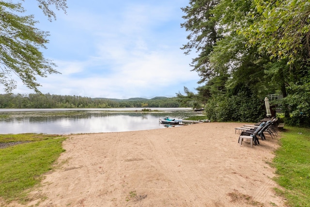 water view featuring a forest view