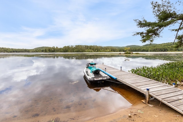 dock area featuring a water view and a view of trees