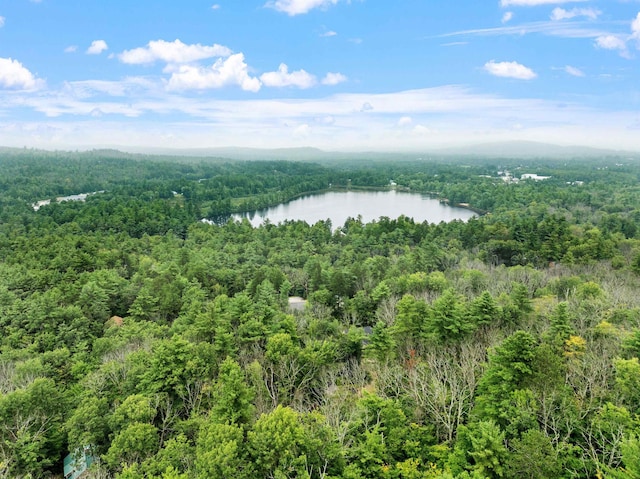B St, Conway, NH 03818