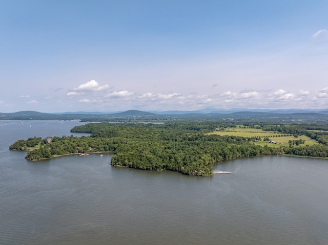 birds eye view of property featuring a water and mountain view