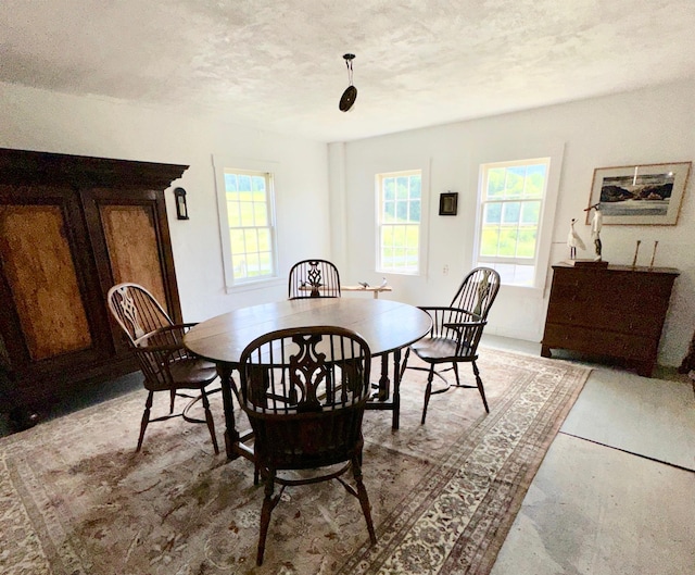 dining room featuring a textured ceiling