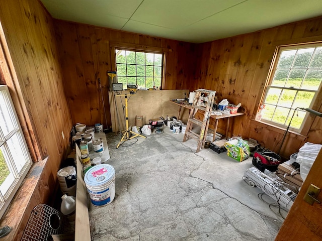 miscellaneous room with wood walls