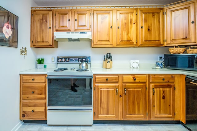 kitchen featuring white electric range oven and dishwasher