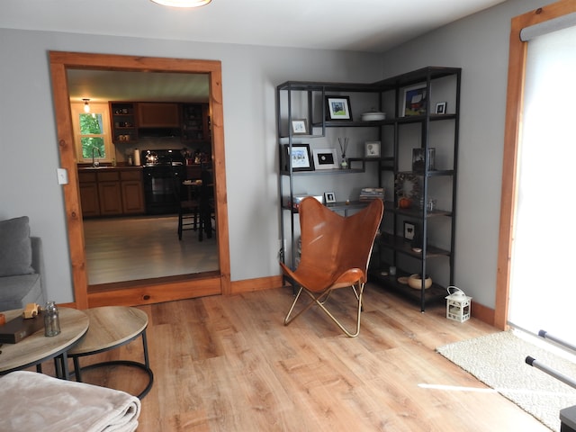 living area with sink and light hardwood / wood-style floors