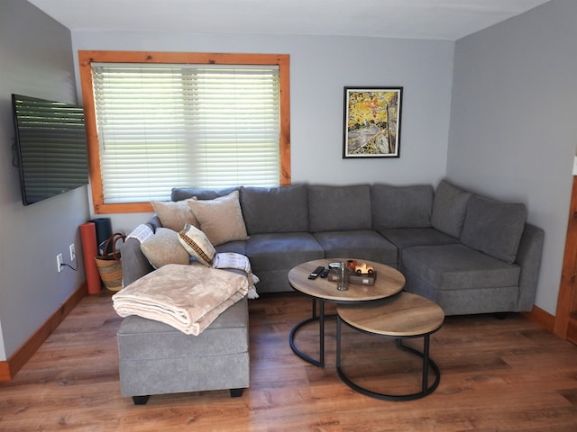 living room featuring hardwood / wood-style floors