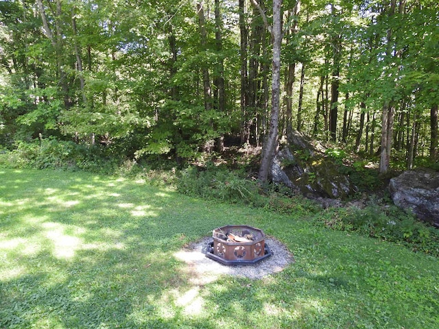 view of yard featuring an outdoor fire pit