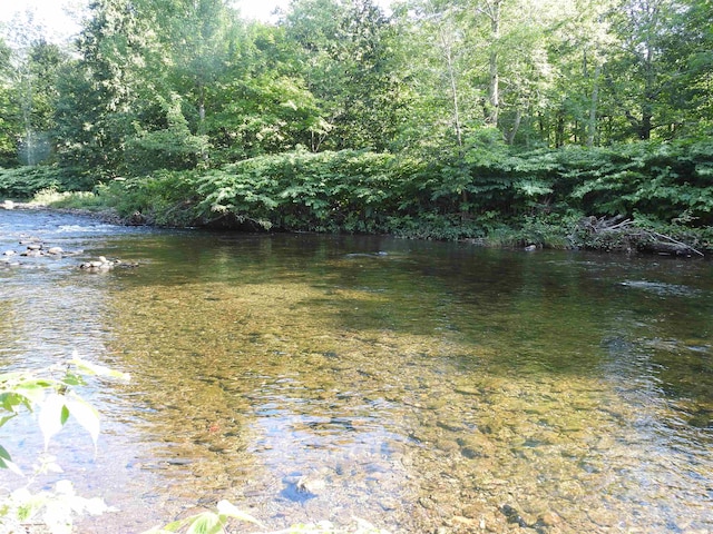 view of water feature