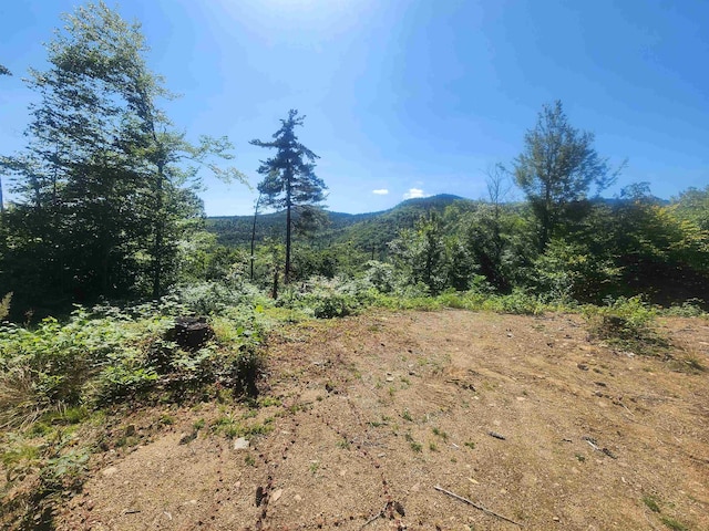 00 Jericho Rd, Bartlett NH, 03812 land for sale