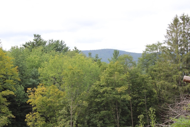 331 Church St, Wallingford VT, 05773 land for sale