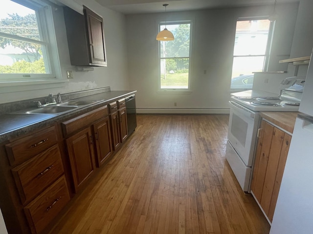 kitchen featuring white electric stove, dishwashing machine, wood-type flooring, a sink, and dark countertops