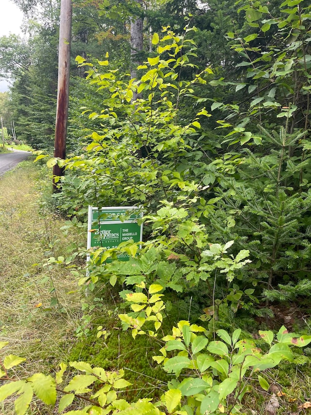 Listing photo 3 for LOT10-73 Ayers Rd, Vershire VT 05079