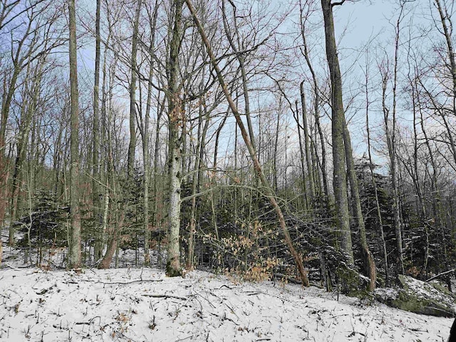 LOT21 Wallace Hill Rd, Franconia, NH 03580