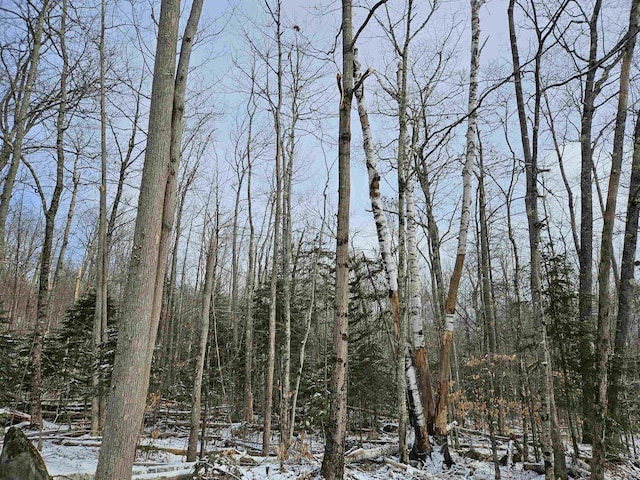 LOT21 Wallace Hill Rd, Franconia, NH 03580