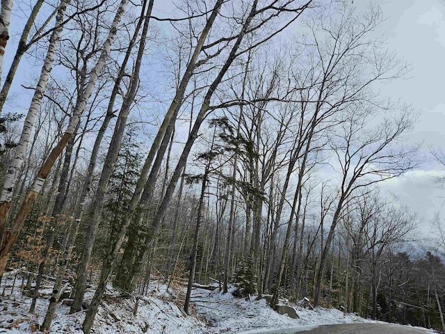 LOT21 Wallace Hill Rd, Franconia, NH 03580