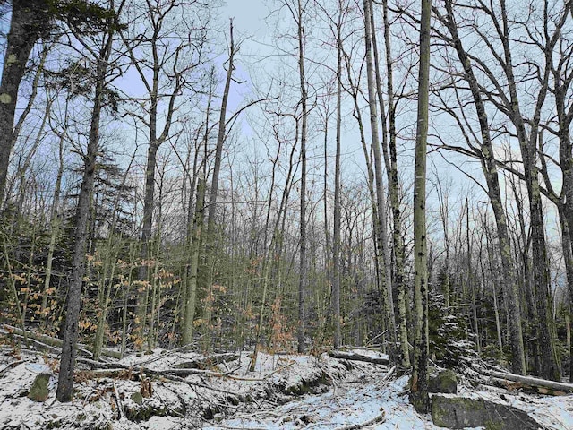 LOT21 Wallace Hill Rd, Franconia, NH 03580