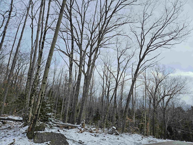 LOT21 Wallace Hill Rd, Franconia, NH 03580