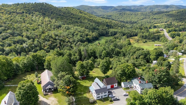 bird's eye view with a mountain view