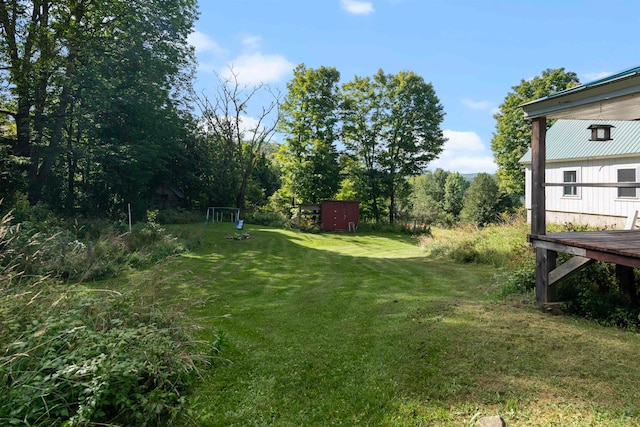 view of yard featuring a storage unit