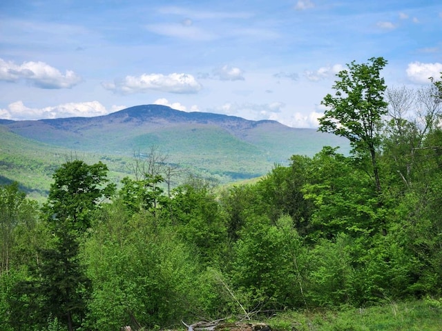 886 Jay Rd, Richford VT, 05476 land for sale