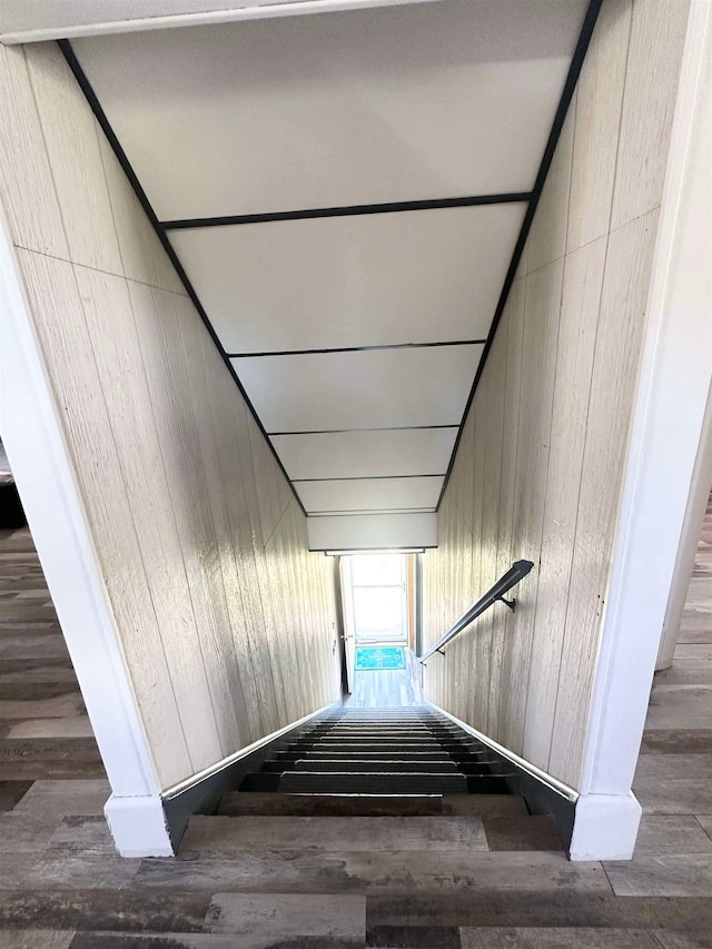 stairway with hardwood / wood-style flooring and wood walls