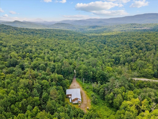 1629 E Hill Rd, Eden VT, 05653 land for sale