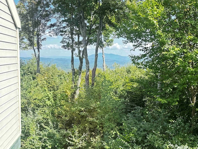 exterior space featuring a mountain view