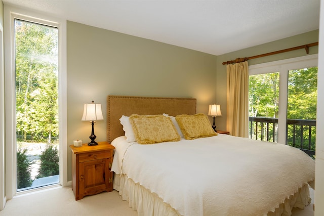 bedroom with access to outside and carpet floors