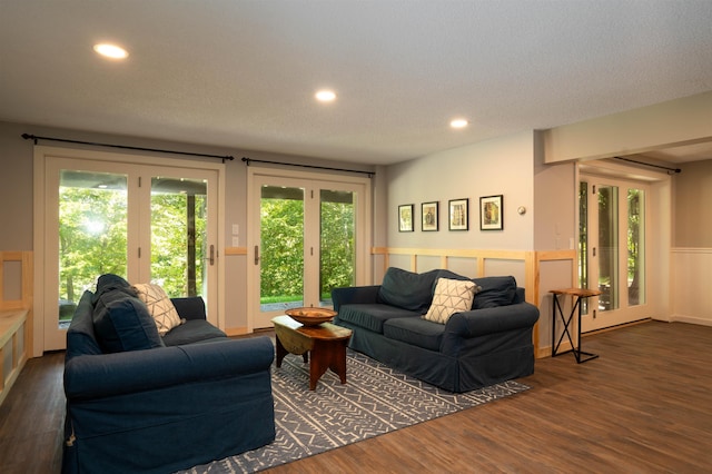 living room with a wealth of natural light, dark hardwood / wood-style floors, and french doors