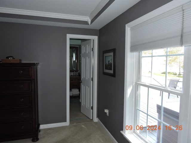 corridor with crown molding and carpet floors