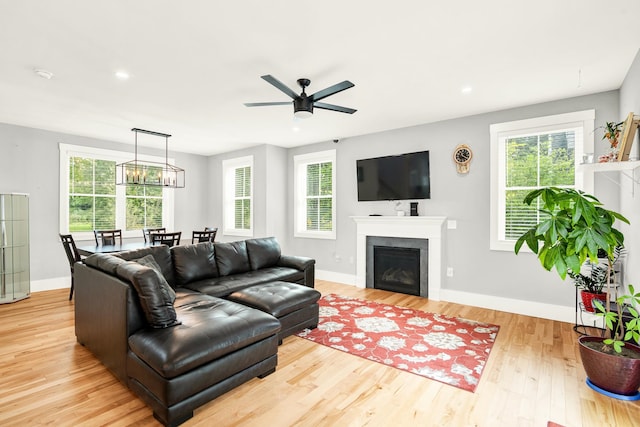 living room featuring ceiling fan, a wealth of natural light, and light hardwood / wood-style flooring