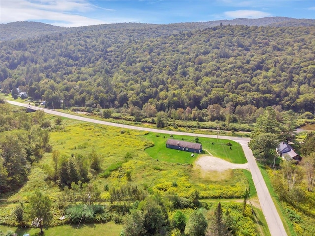 bird's eye view with a mountain view