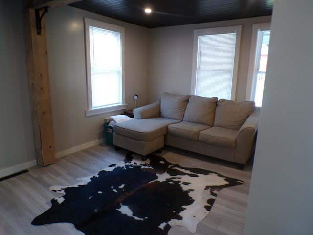 living room featuring wood-type flooring