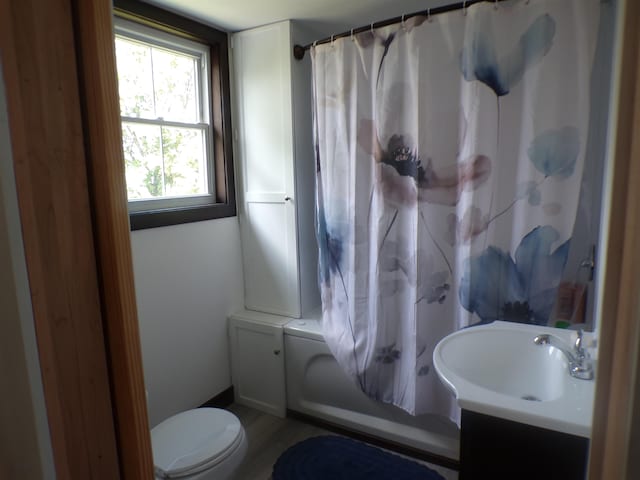 full bathroom with vanity, toilet, and shower / bath combination with curtain