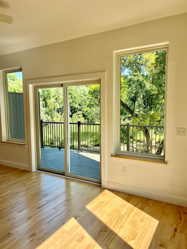 doorway with plenty of natural light, ceiling fan, and light wood-type flooring