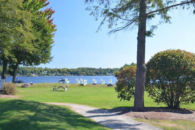 surrounding community with a water view and a lawn