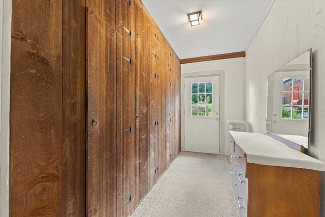 doorway featuring wood walls and light carpet