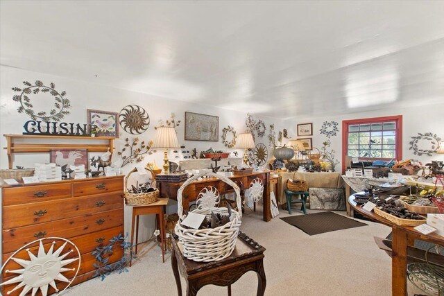 interior space featuring carpet floors