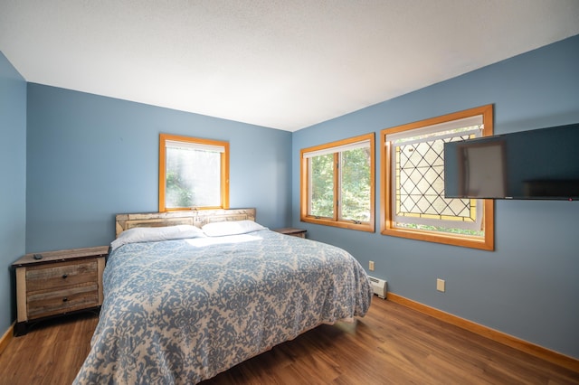 bedroom with a baseboard radiator, multiple windows, baseboards, and wood finished floors