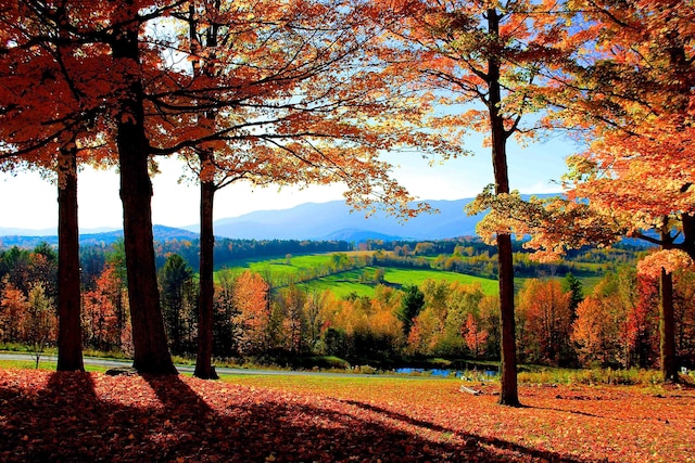 property view of mountains featuring a water view