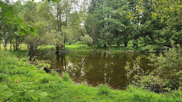 view of local wilderness with a water view