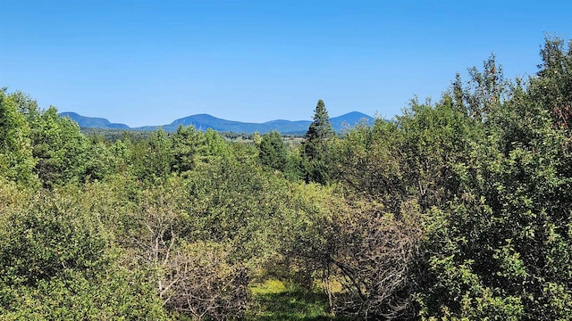 property view of mountains