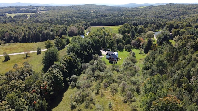 bird's eye view with a mountain view