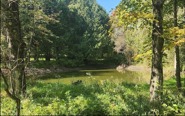 view of landscape