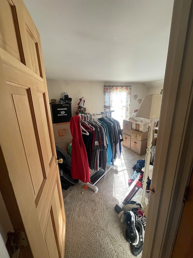 walk in closet featuring light carpet