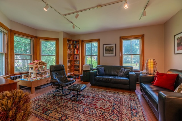 living room featuring track lighting and wood finished floors